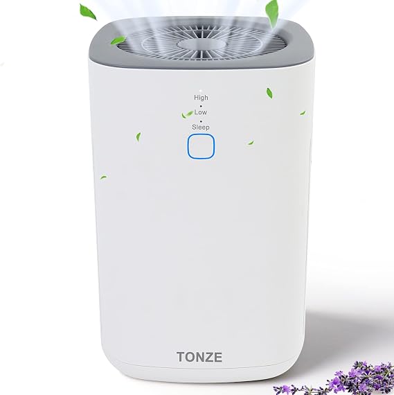 Air Purifier Large Room Home, Dual 3 Stage H13 True HEPA Air Filter, 3 Fans Speed, Up to 430ft2 Purification, Quiet Sleep Mode, 99.97% Against For Pollen Dust Smoke Pet Hair Odor