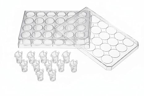 SPL Inserts Hanging, PS, PC Membrane, Translucent, 6.5 mm Diameter, 8.0m Pore, Sterile, Package 48 Inserts in 24 Wells Plate