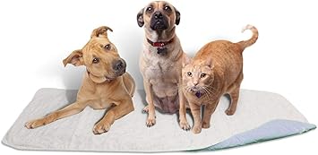 Careoutfit 36 x 72 - XXL Big Size Premium Waterproof Reusable/Quilted Washable Large Dog/Puppy Training Travel Pee Pads Blue