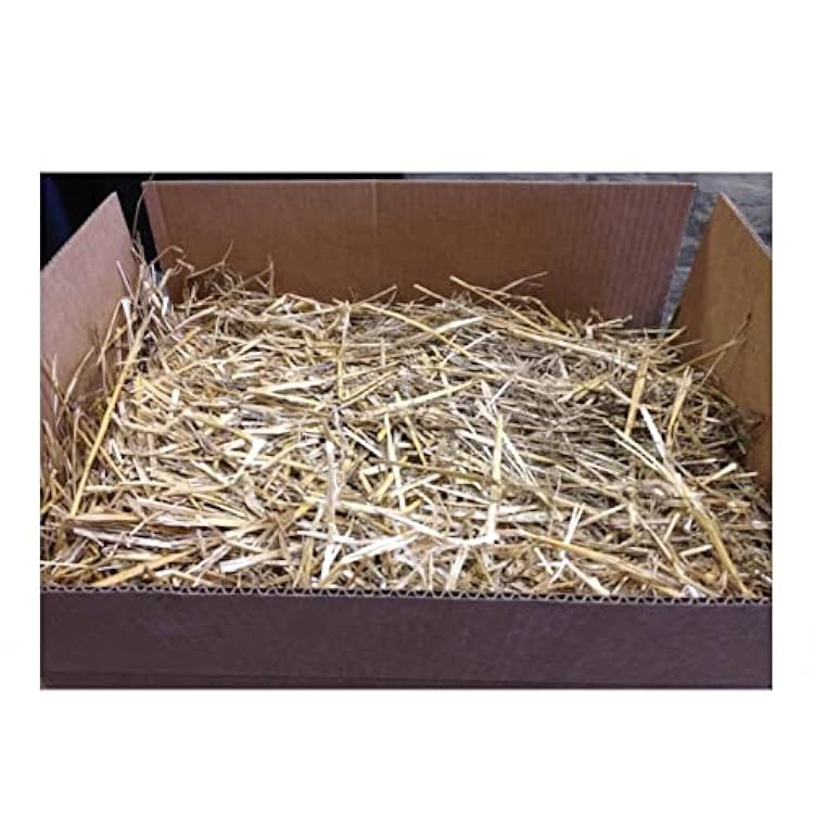 The Kitty Tube Wisconsin Grown Wheat Straw
