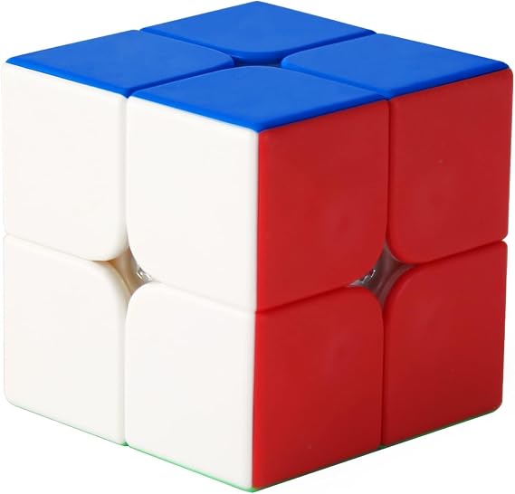 Moyu Moyu RS2M Evolution 48 Magnets 2x2 Magnetic Speed Cube Adjusted Tension 2 by 2 Speed Cube with Concave Ball Structure Design Stickerless Mini Cube Puzzle Toy