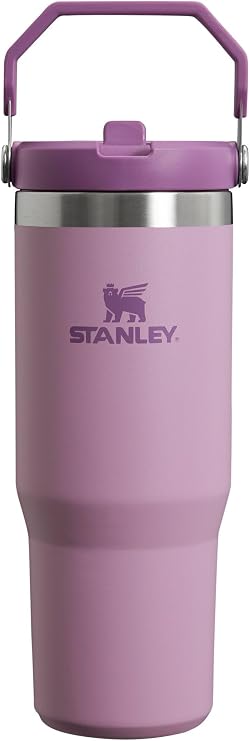 STANLEY Classic IceFlow Stainless Steel Tumbler with Straw, Vacuum Insulated Water Bottle for Home, Office or Car, Reusable Cup with Straw Leakproof