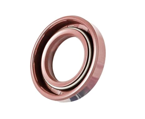 EAI 12mm x 24mm x 4.5mm FPM/FKM TC Double Lip w/Stainless Steel Spring Oil Seal. Comp. /w Viton Shaft Seal