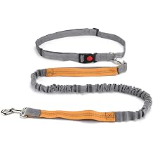 Hands Free Dog Leash, Retractable Dual Handle Bungee Leash, Adjustable Waist Dog Running Belt for Running, Walking, Training, Hiking, Traveling（Gray/Orange） (YUNDA9214)