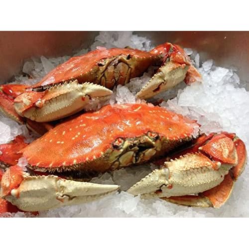 Fresh Cooked Dungeness Crabs 6 Large Crabs