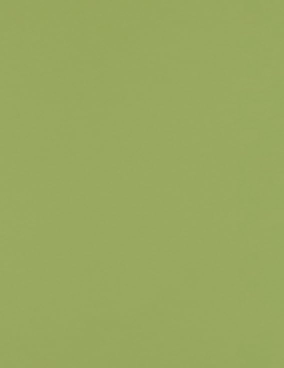 LUXPaper 8.5" x 11" Paper | Letter Size | Avocado Green | 70lb. Text | 250 Qty