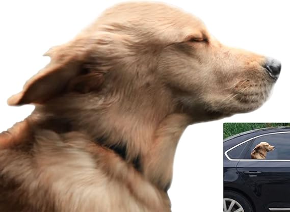 Riders Golden Retriever Car Sticker Window Decal for Vehicles Dog Window Cling(for Right Side)
