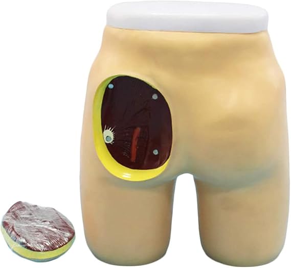 Buttock Exercise Model Advanced Hip Muscle And Anatomical Model Manikin Teaching Model Silicone Human Skin Training Pad Traning Model