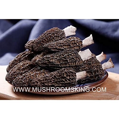 Premium A Grade Dried Wild Morel Mushrooms Morchella 4OZ pack,113g
