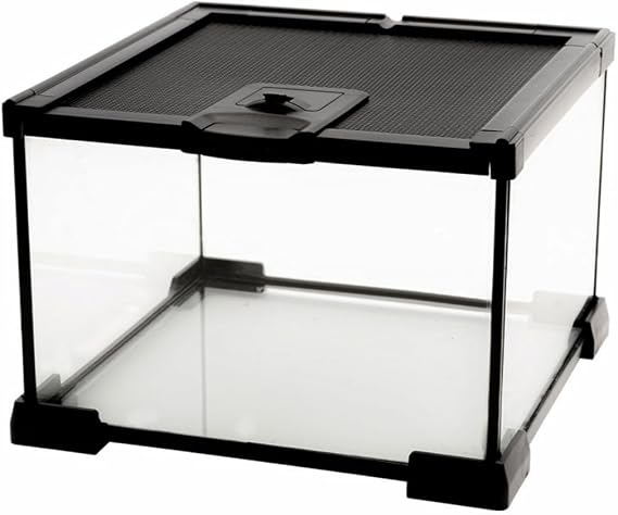 AWXZOM Mini Reptile Glass Terrarium Tank, cage for Tarantula Sling Geckos, Frog, Lizards, Chameleons,Turtles Snake Snail Insect Hermit Crab Isopods Reptiles Enclosure (7.9x7.9x5.7inch)