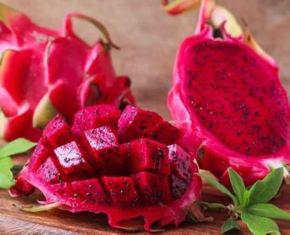 250 Rare Red Dragon Fruit (Pitaya) Seeds - 95% Germination Rate - Thanh Long RUOT O - Hylocereus Costaricensis Non-GMO | Organic | Heirloom