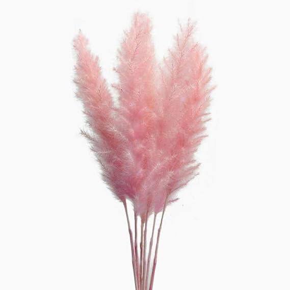60 Stems 22 Inch Natural Dry Flowers Small Pampas Grass, Phragmites Communis, Dried Flowers Bouquet for Wedding Floral Arrangements Home Decorations (Pink)