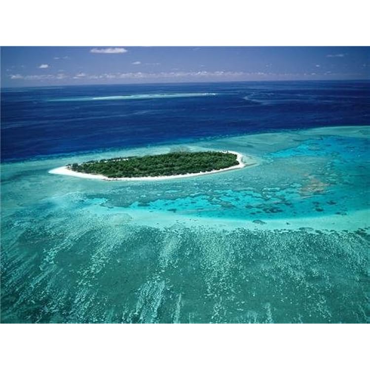 ConversationPrints GREAT BARRIER REEF GLOSSY POSTER PICTURE PHOTO coral australia ocean water