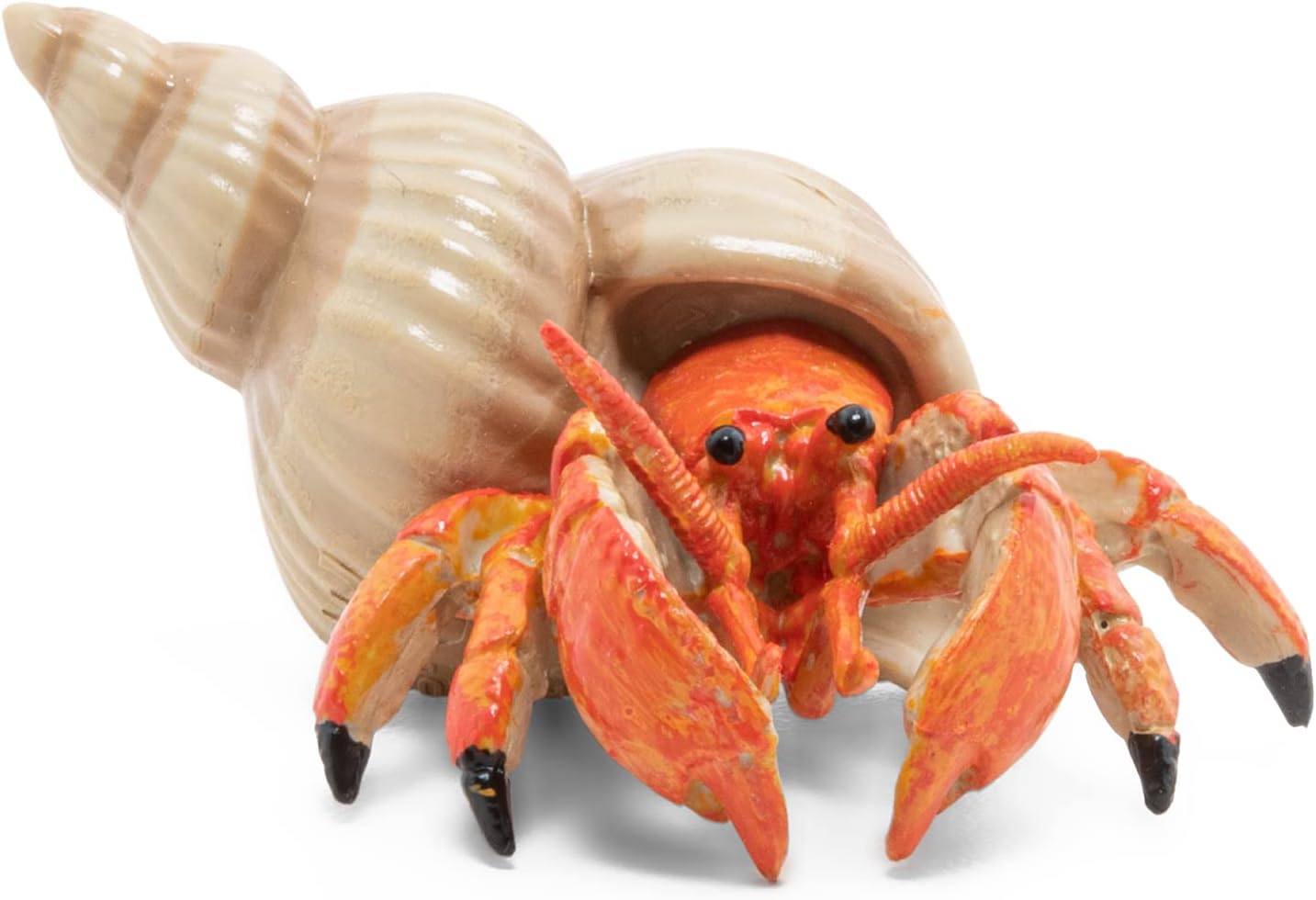 Papo - 56054 - Figurine - Hermit crab, Multicolour