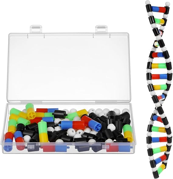 TOYANDONA DNA Model Kit, Twistable DNA Double Helix Structure Model DNA Double Helix Model with Storage Box for School Student Science Teaching Educational Learning