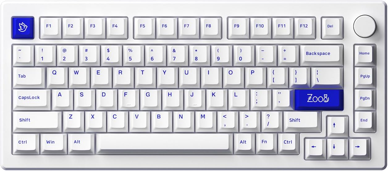 AKKO MOD 007B PC Blue on White RGB Wireless Hotswap Mechanical Gaming Keyboard