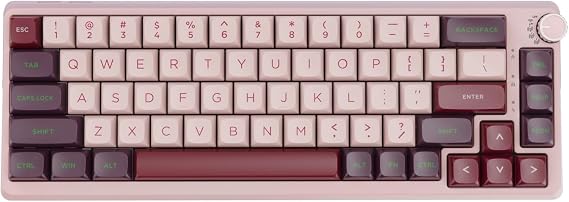 KZZI Mechanical Gaming Keyboard with Color Multimedia Display, Hot Swappable, Gasket Mount RGB, Pre-lubed Stabilizer for Mac/Win (Large Purple Pink)