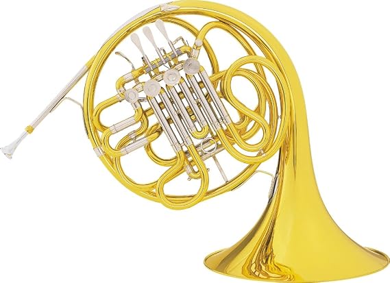 Conn 6D Artist Series Double Horn
