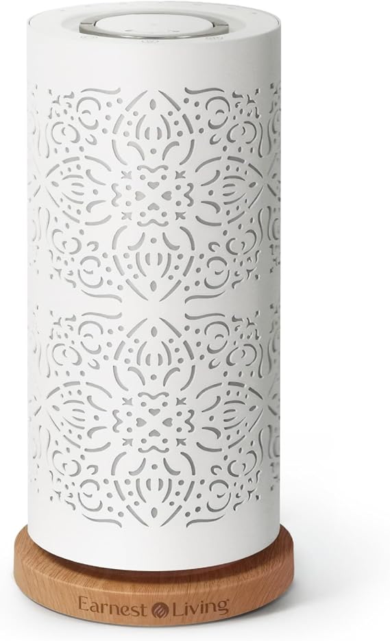 Waterless Diffuser 100ml Nebulizing Diffusion System for Large Ambient Space Studio Home Office Hotel Spa