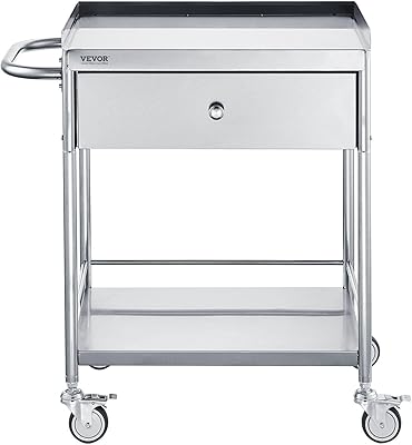 Medical Cart, 2-Layer Stainless Steel Cart 220 lbs Weight Capacity, Lab Utility Cart with 360 Silent Wheels and a Drawer for Lab, Clinic, Kitchen, Salon