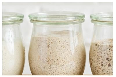 Ethiopian Teff Sourdough Starter Culture 2