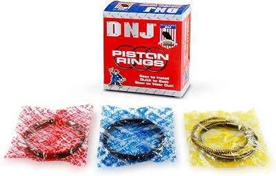 DNJ PR4243.20 Oversize Piston Rings for 2014-2022 Chevrolet, GMC Express 2500, Express 3500, Savana 2500 4.3L V6 12V OHV 262cid
