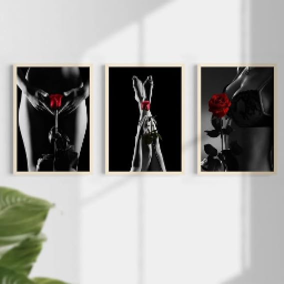 ZHUOYA Sexy Woman Holding Red Rose Canvas prints Poster, Black and White Wall Art, Sexy Fashion Artistic Poster, Home Decor 30x50cmx3 Frameless