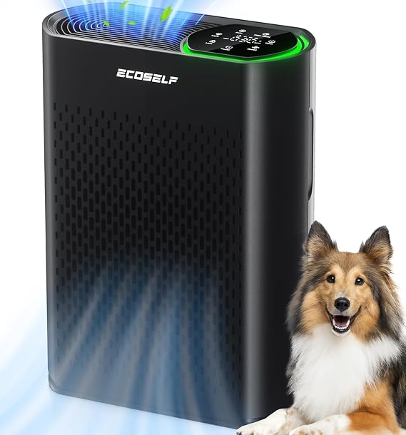 Air Purifier for Large Room, Cleans 2,400 ft2 in 30 Mins, 3-Stage True HEPA, 360 Airflow, Large Touch Display Control, Real-Time Air Quality (PM2.5) Display, Ultra-Quiet 20dB Sleep Mode, HAP602 Black