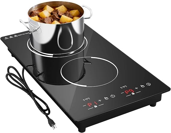 Induction Cooktop 12", GTKZW Double Induction Cooktop 2 Burner 110v-120v Electric Stove Top, Countertop and Built-in, 9 Power Levels, Child Lock, 120 Mins Timer