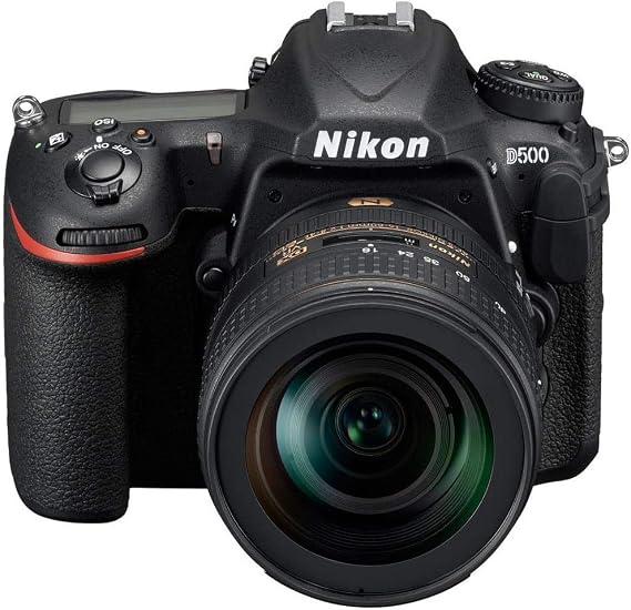 Nikon D500 DX-Format Digital SLR with 16-80mm ED VR Lens