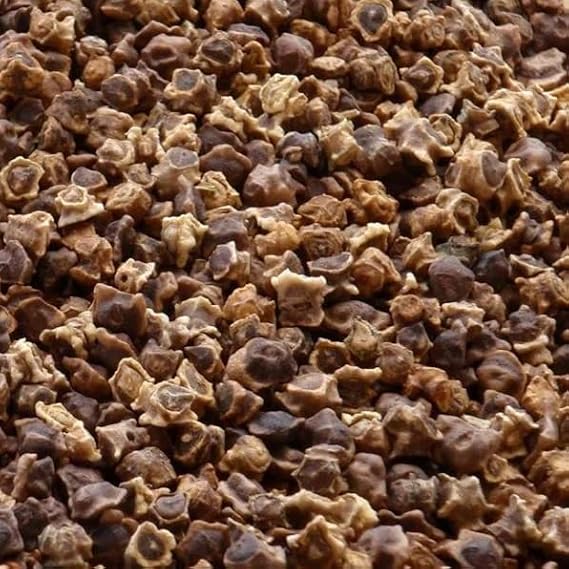 Sugar Beets Seed (1 Lb.)