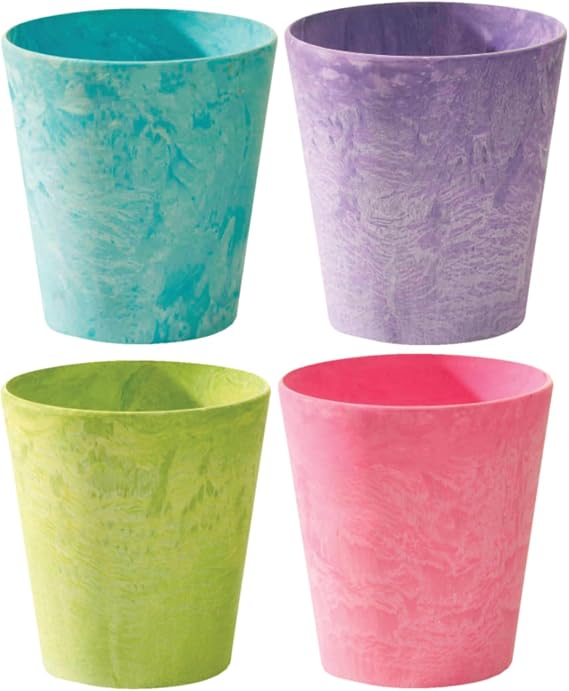 Novelty 5" BRT Cache Pot ASSTD