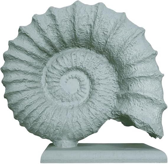 Seashell Sculpture, Fossil Shell Statue, Shell Art Decor, Oceanic Home Decor, Ocean Inspired Sculpture, Seashell Figurine, Ocean Sculpture,Nautilus Shell Decor (Object-5)