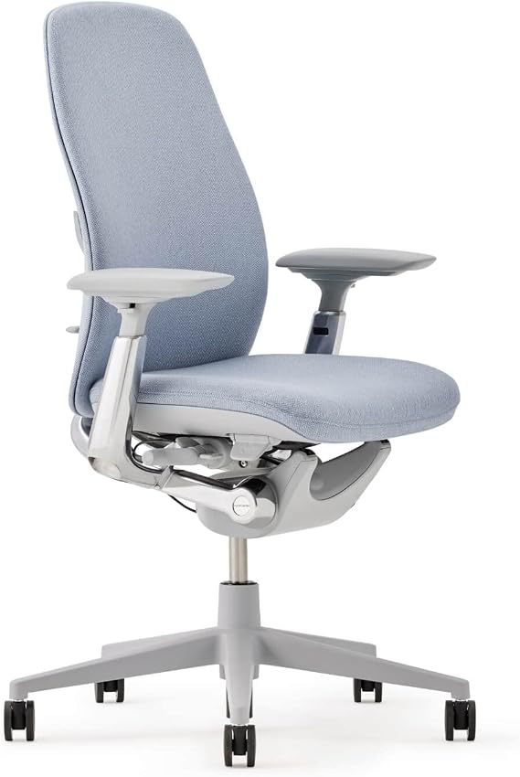 Haworth Zody Ergonomic Office Chair, Home Office Desk Chair, Lake