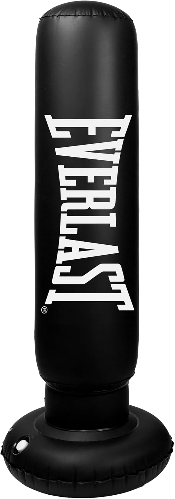Everlast Freestanding Inflatable Punching Bag Target System Air Pump