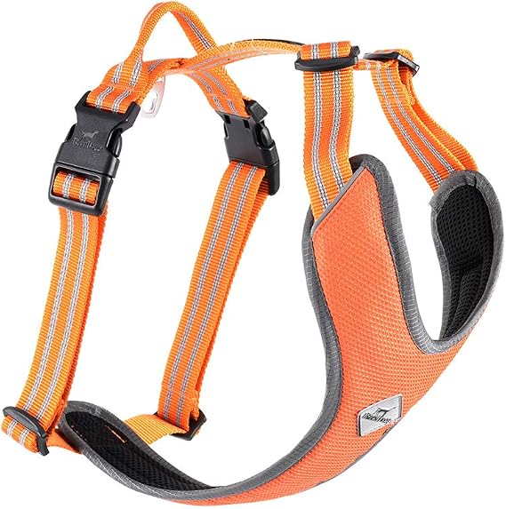 Dog No-Pull Choke-Free Harness - Adjustable, Breathable Design with Reflective Stripes, Durable Quick-Snap Buckles & Zinc-Alloy D-Ring (Small)