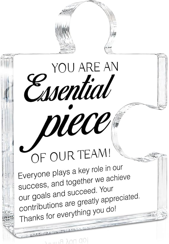 Team Appreciation Gifts Thank You Gift for Coworkers Colleagues Employees, Best Team Ever Gifts You Are an Essential Piece Acrylic Puzzle Piece Plaque Office Decor