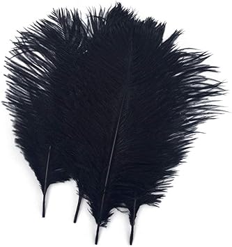 Shekyeon Black 10-12inch 25-30cm Ostrich Feather Home Decoration DIY Craft Pack of 10