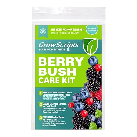 Container Berry & BRAMBLE Fertilizer & Nutrition Care KIT