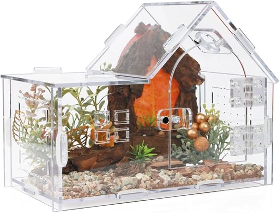 Acrylic Jumping Spider Enclosure House-Shaped Terrarium