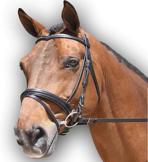 Leather Dressage Bridle for Horses with Web Reins | Soft Padded Anatomical Crown & Crank Noseband | European Buckle Design | English Horse Bridle for Training & Competition