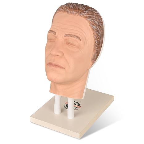 Injection Face Training Model for Facial Injection Practice