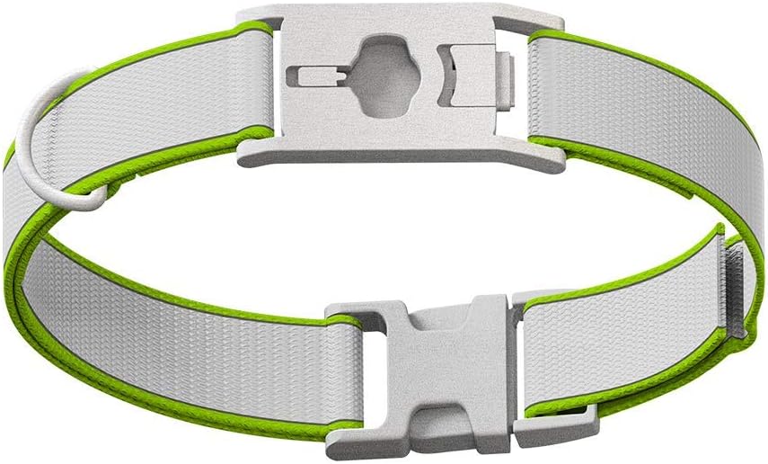 Whistle GO Explore Pet Collar - Twist & Go, Squirrel Grey, Small