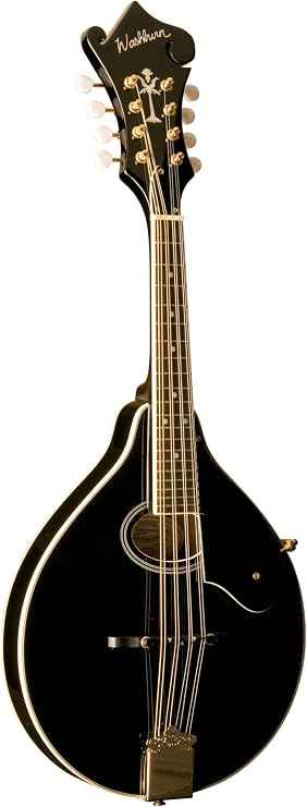Washburn Americana M1SD, Mandolin