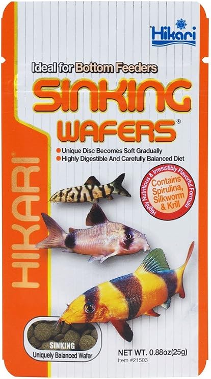Hikari Tropical Sinking Wafers Ideal for Bottom Feeders Fish Food 0.88 Ounce