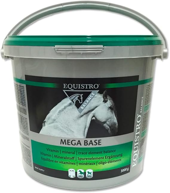 Equistro Mega Base Powder for Horses (Size: 3Kg)