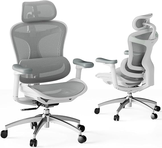 SIHOO Doro C300 Ergonomic Office Chair with Ultra Soft 3D Armrests, Dynamic Lumbar Support for Home Office Chair, Adjustable Backrest for Desk Chair (Grey)