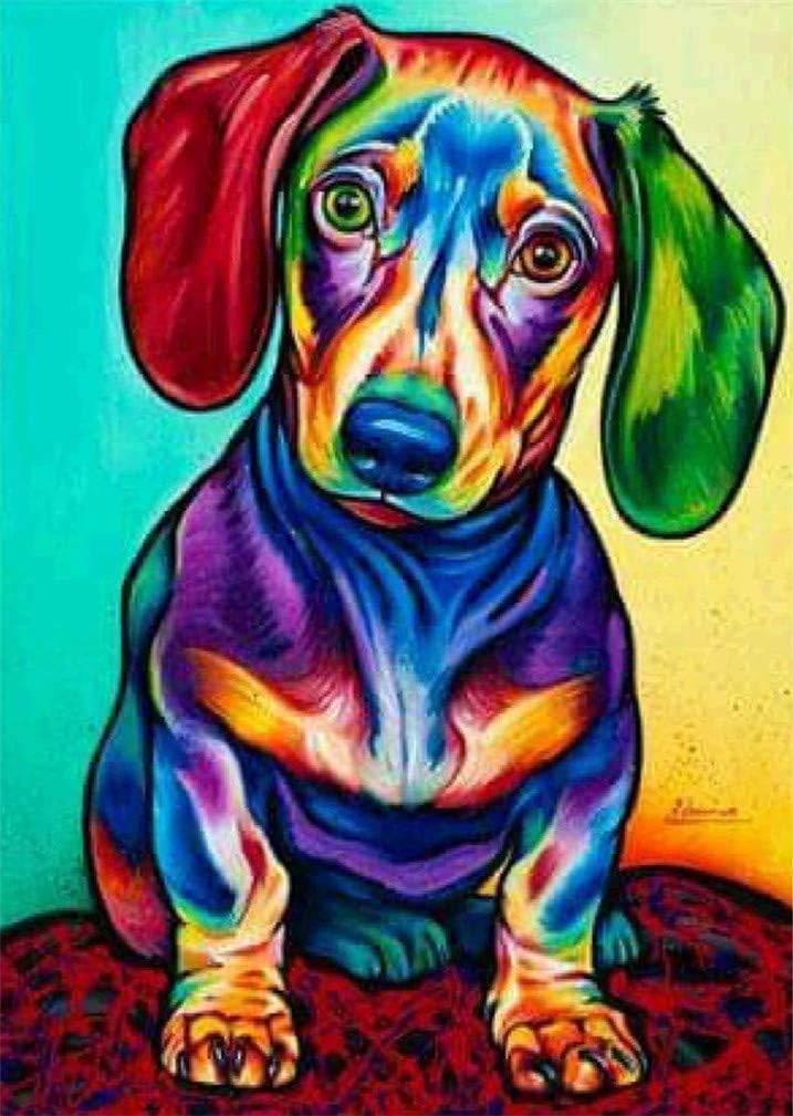 Abillyn Embroidery Cross Stitch Kits Colorful Dachshund Stamped with Printed Pattern Starter Kit Dachshund