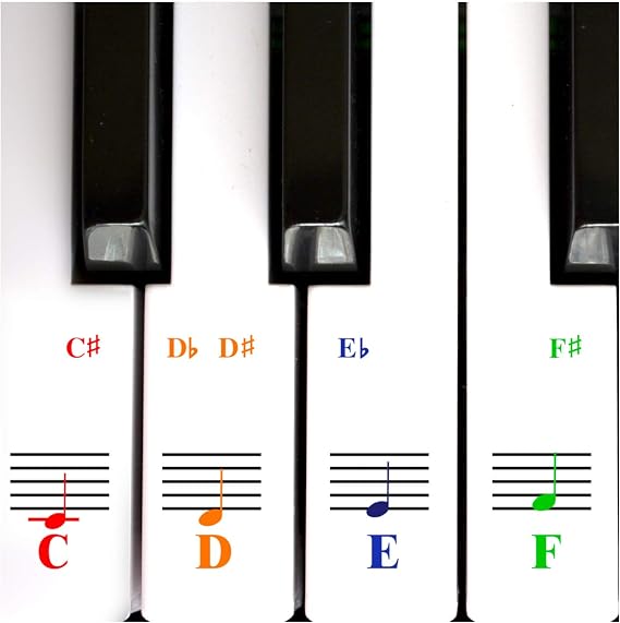 QMG Piano Keyboard Note Stickers for White Keys for Upto 88-Key Keyboards, Bright Colorful Letters, Transparent and Removable, Perfect Visual Tool for Kids and Beginners, 2 Pack