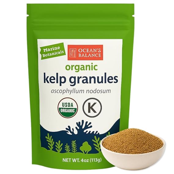 Oceans Balance Organic Kelp Granules 4oz Seaweed Seasoning from the Gulf of Maine Low Sodium Salt Alternative, Rich in Iodine & Minerals, Sustainably Harvested Sea Vegetable
